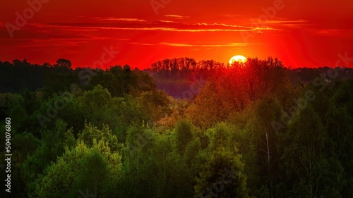 Wiosenny wschód słońca nad zielonym lasem