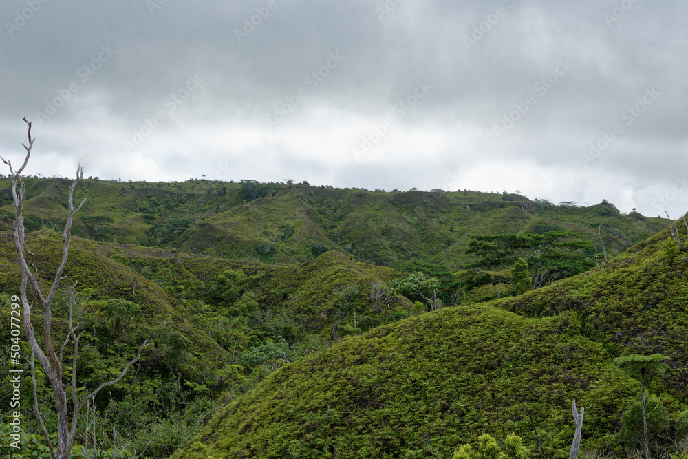 plateau de toovii - ile de nuku hiva - iles marquises - polynesie francaise