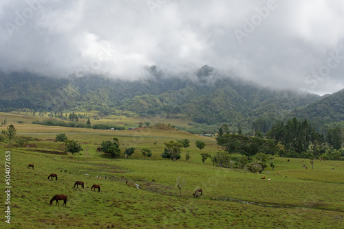 Plateau de toovii - nukuk hiva - iles marquises - polynesie francaise