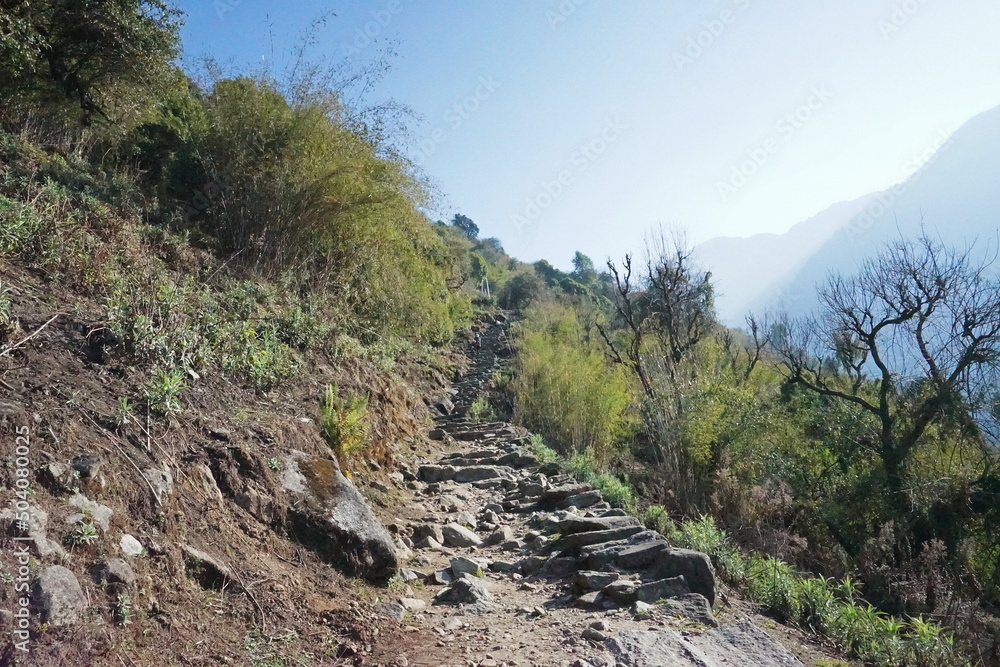 Rocky trail steps with natural landscape of green mountain view- Annapurna Himalayan range, Nepal