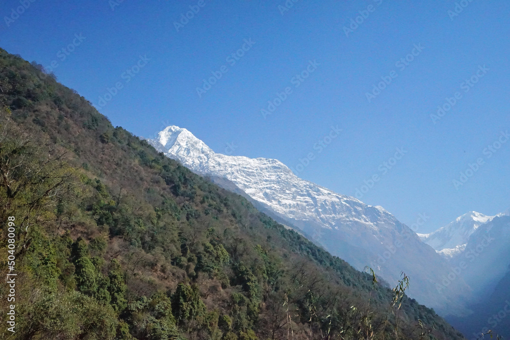 Natural landscape of Snowcapped mountain view with clear blue sky- Annapurna Himalayan range, Nepal