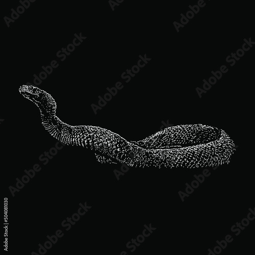 taipan hand drawing vector illustration isolated on black background