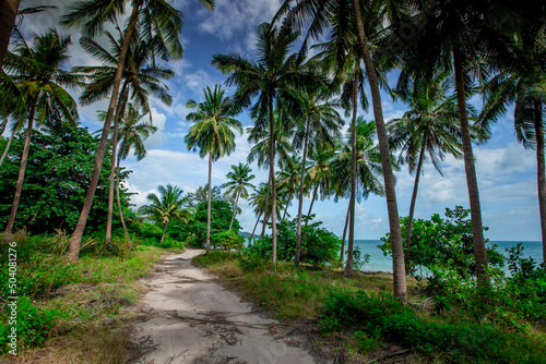 coconut tree natural background Up on the beach on the island or along the high mountains, there is a blur of the wind blowing, the bright blue sky in the summer. © bangprik