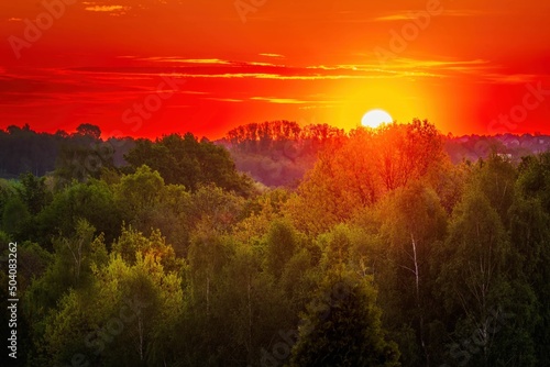 Wiosenny wschód słońca nad zielonym lasem