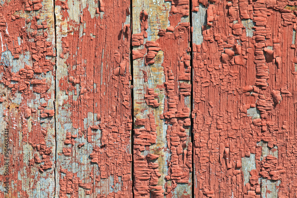 Old wooden fence, painted with red paint. Faded in the sun surface for inscription, shabby fence (fencing). Ancient dilapidated surface with peeling paint. Red color wooden texture and background