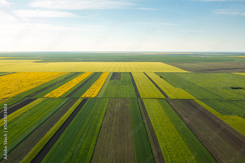 Aerial view with the amazing geometry texture landscape of a lot of agriculture fields with different plants like rapeseed and wheat. Farming industry.