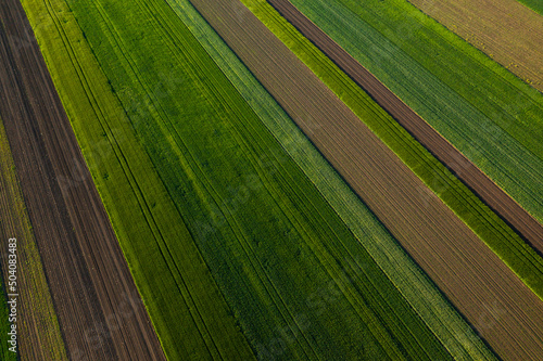 Aerial view with the amazing geometry texture landscape of a lot of agriculture fields with different plants like rapeseed and wheat. Farming industry.