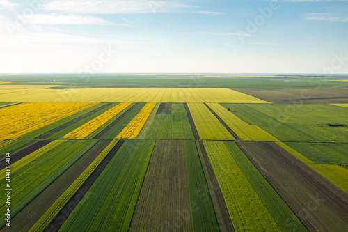 Obraz na płótnie Aerial view with the amazing geometry texture landscape of a lot of agriculture fields with different plants like rapeseed and wheat. Farming industry. w salonie