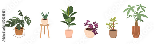 Potted plants vector collection on white background. Set of interior house plants with flower pot, basket, vase, leaves and foliage. Different home indoor green decor illustration for decoration, art.