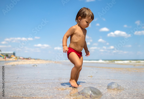 Fotografia, Obraz A boy examines a stranded jellyfish under the bright summer sun
