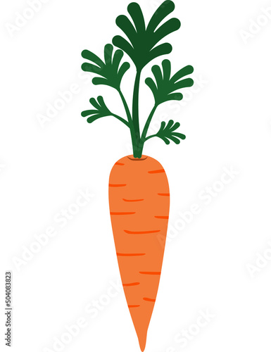 Market carrot icon. Vector icon for web design isolated on white background