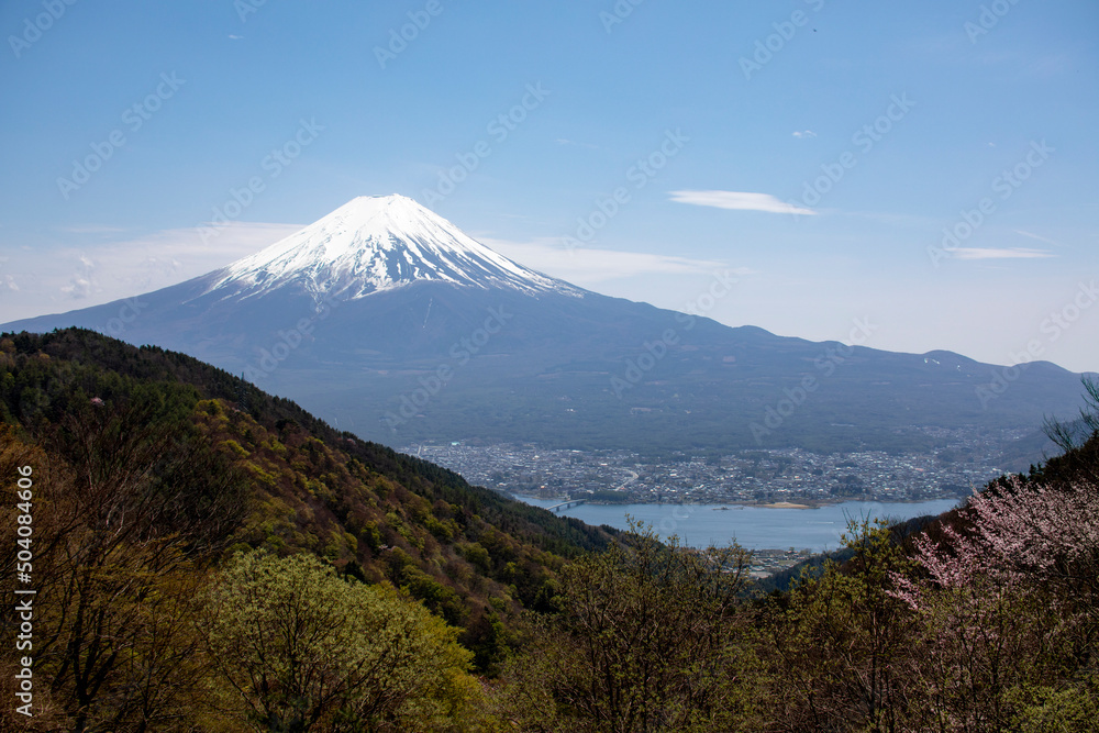 fuji mountain