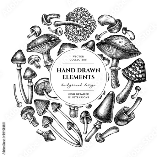 Forest mushrooms wreath design. Hand drawn mushrooms, fly agaric, blewit, etc.