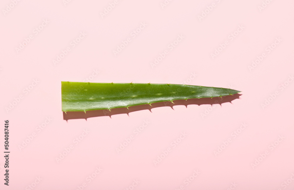 Obraz premium Fresh aloe vera leaf on color background