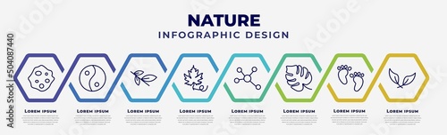vector infographic design template with icons and 8 options or steps. infographic for nature concept. included orbicular, asian, willow leaf, grape leaf, element, philodendron, four toe footprint,