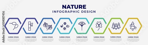 vector infographic design template with icons and 8 options or steps. infographic for nature concept. included fertilize clinic, bamboo sticks, poplar leaf, season, ginkgo, trifoliate ternate,