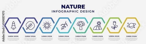 vector infographic design template with icons and 8 options or steps. infographic for nature concept. included spruce, reniform, shining sun with rays, larch leaf, amanita, dune, roses, planet with