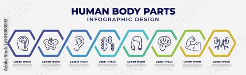 vector infographic design template with icons and 8 options or steps. infographic for human body parts concept. included brain inside human head, hip bone, ear lobe side view, three bacteria, woman