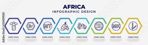 vector infographic design template with icons and 8 options or steps. infographic for africa concept. included baobab, ethiopian birr, mozambican metical, zebra, pickup truck, south african rand,