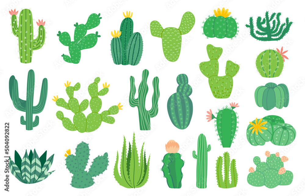 Cactus plant. Cartoon decorative exotic succulent, tropical desert plant.  Vector mexican aloe isolated set Stock Vector | Adobe Stock