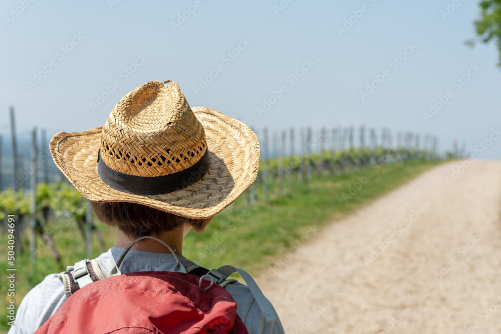 Hiking Woman with brown hair, gray t-shirt, straw hat and red backpack hiking next to a wine field on a hiking trail, close-up, Auerbach, Bensheim, Germany