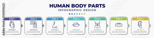infographic template with icons and 7 options or steps. infographic for human body parts concept. included human heart, bones joint, male e of a line, big lips, human abdomen, men chest, ear