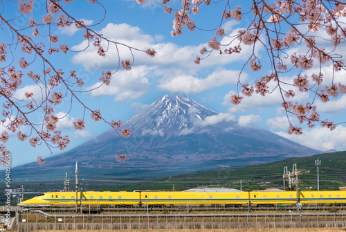 Obraz na plátne High Speed Yellow Bullet Train Shinkansen and Pink Sakura branches with Fuji mou