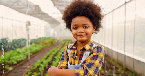 Little boy enjoys planting new flowers and vegetable plants. African descent child gardening in outdoor vegetable, flower garden in spring or summer season.