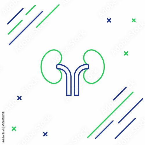 Line Human kidneys icon isolated on white background. Colorful outline concept. Vector