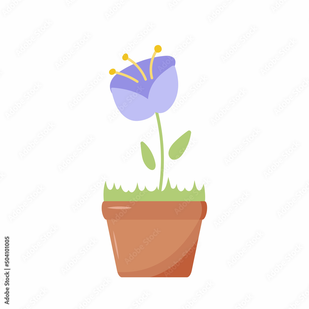 Flower in pot. Botanical home decoration flowers and leaves recent vector nature illustrations. Indoor flower growing in flower pots and planters