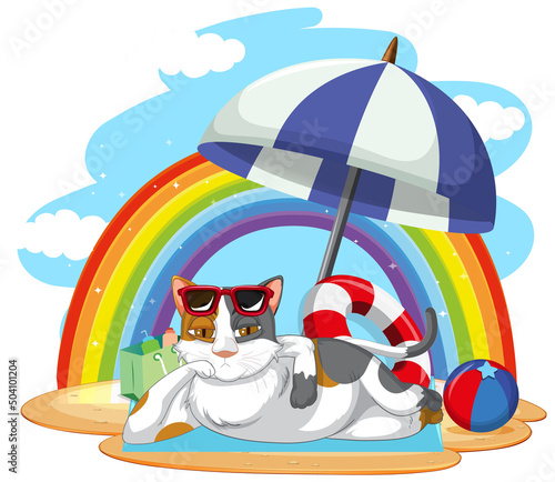 A cat  relax on beach