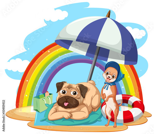 A dog relax on beach