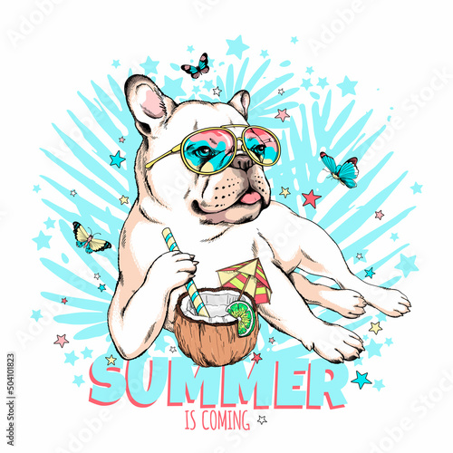 Cute french bulldog with butterflies and coconut cocktail.Summer is coming illustration. Stylish image for printing on any surface