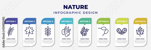 infographic template with icons and 8 options or steps. infographic for nature concept. included pine leaf, liquidambar leaf, acacia, pecan leaf, bilberry fertilize clinic, straberry gooseberry