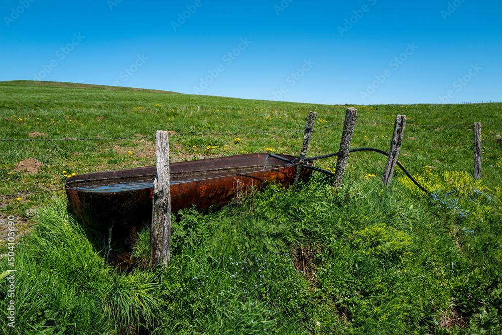 abreuvoir pour les vaches abreuvoir pour les vaches