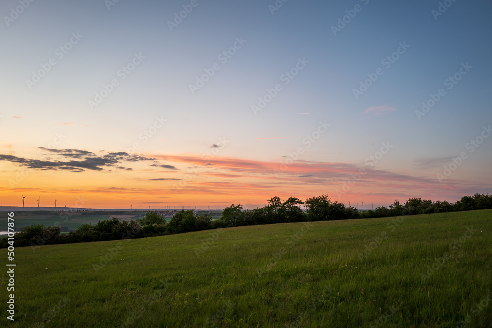 sunset over the field