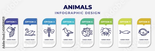 infographic template with icons and 8 options or steps. infographic for animals concept. included wasp, swan, dragonflay, albotros, piranha, spider, sea cow, flounder editable vector.