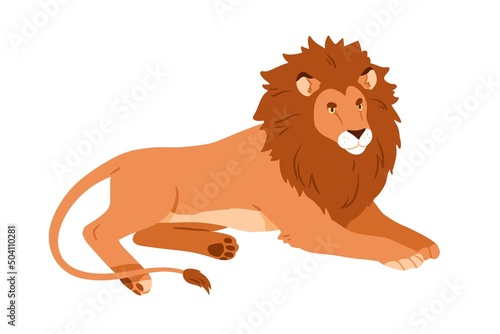 Jungle lion lying. Wild African feline animal relaxing. Male leo resting. Cha...