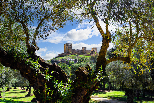 Views from the Parque de la Retama of the castle of Alcalá de Guadaira in Seville, in blue sky and white clouds photo