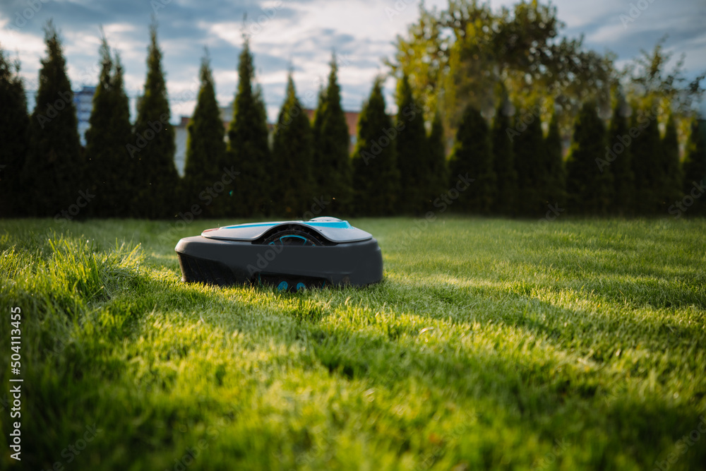 Automatic baterry Lawn mower cutting green grass in modern garden. Sunset mood. Robot. Copyspace Automatic baterry Lawn mower cutting green grass in modern garden. Sunset mood. Robot. Copyspace