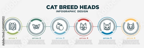 Fotobehang infographic template design with cat breed heads icons