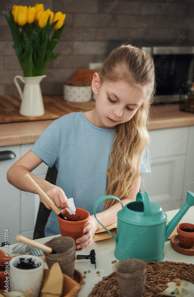 Little girl sitting at the table at home, sowing seeds into flower pots.