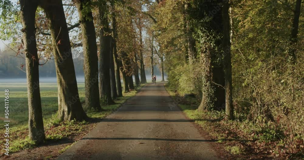 A man runs on a road in a park during a cold morning during autumn while the sun is rising A man runs on a road in a park during a cold morning during autumn while the sun is rising
