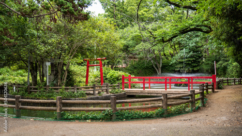 赤い橋と鳥居がある池【与野公園】／日本埼玉県さいたま市