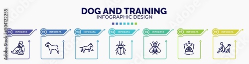 infographic for dog and training concept. vector infographic template with icons and 7 option or steps. included null, miniature schnauzer, bulterrier, pollen beetle, null, pet clo, dog and man