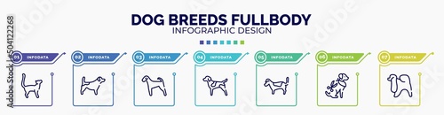 infographic for dog breeds fullbody concept. vector infographic template with icons and 7 option or steps. included bengal cat, jack russel terrier, airedale, german shorthaired pointer, jack