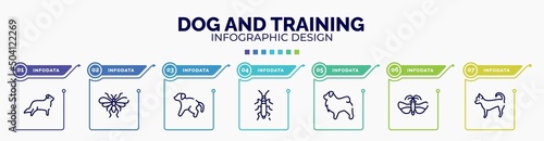 infographic for dog and training concept. vector infographic template with icons and 7 option or steps. included bernese mountain, null, scold the dog, null, tibetan mastiff, null, chihuahua