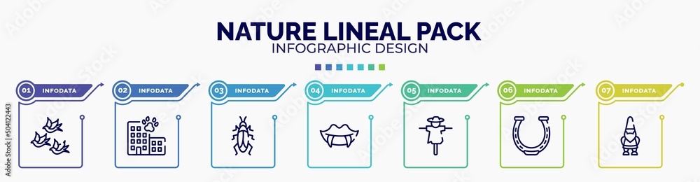 infographic for nature lineal pack concept. vector infographic template ...