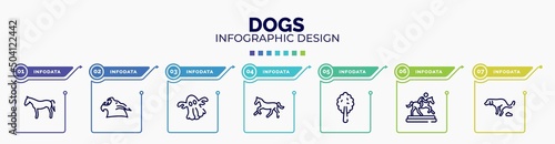 infographic for dogs concept. vector infographic template with icons and 7 option or steps. included horse black side shape, werewolf, ghost, horse running, plain tree, trophy of horses races, dog