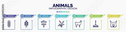 infographic for animals concept. vector infographic template with icons and 7 option or steps. included plankton, silverfish, birdhouse, reeds, llama, rake, lynx editable vector.